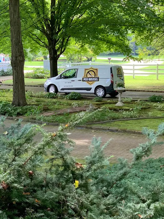 Pest Busters Pest Control Picture 8