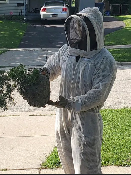 Pest Busters Pest Control Picture 10