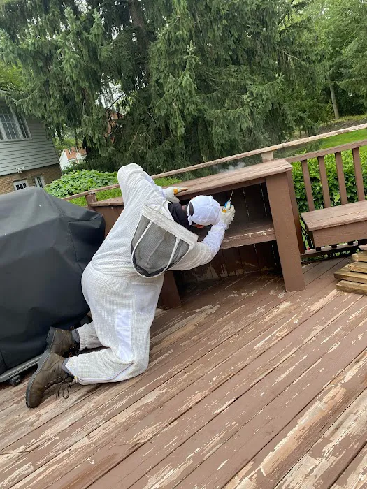 Pest Busters Pest Control Picture 9