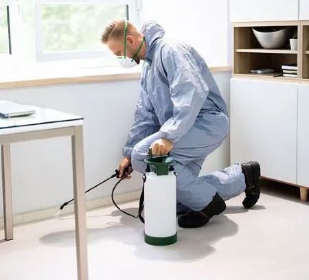 Pest Control Experts of Bowling Green Picture 7