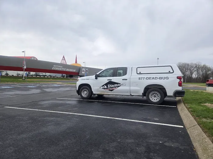Black Diamond Pest Control Picture 9