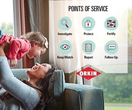 Orkin