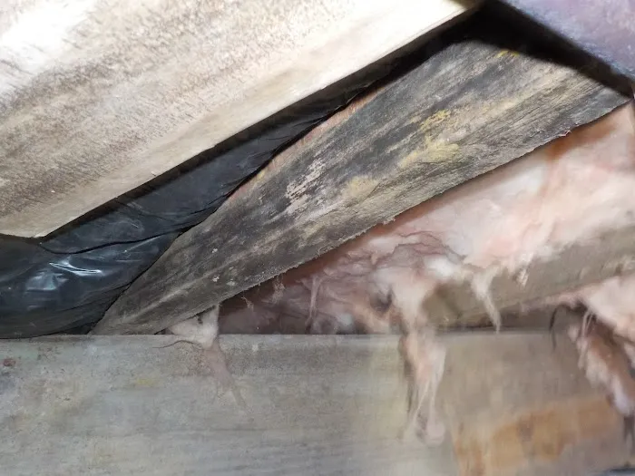 Home Pro Pest Control and Home Services LLC Picture 8