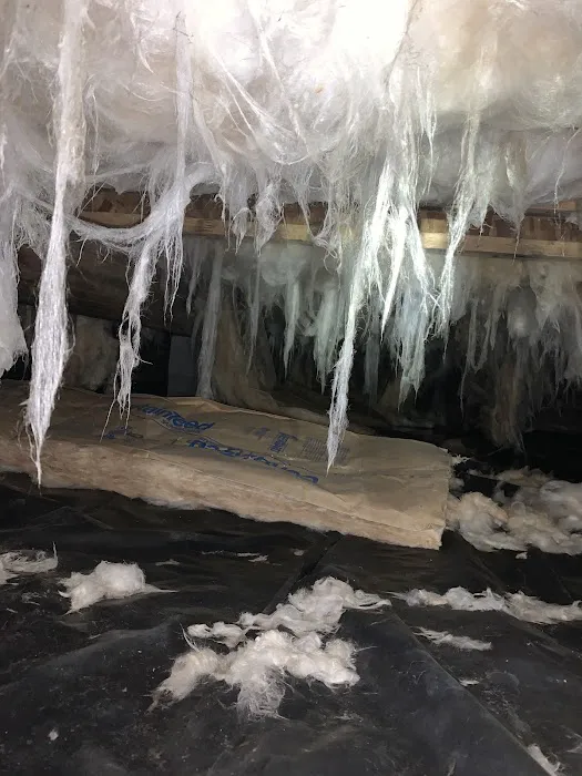 Home Pro Pest Control and Home Services LLC Picture 2
