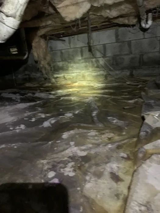 Home Pro Pest Control and Home Services LLC Picture 6