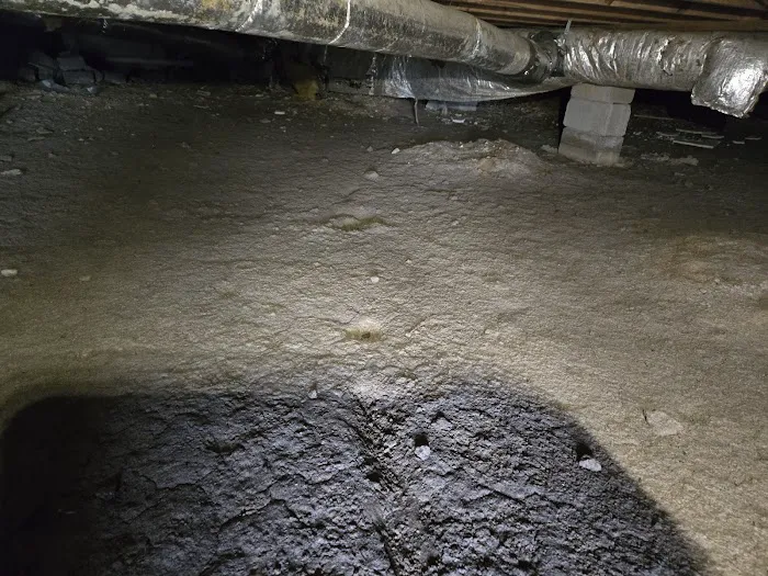 Proven Pest Solutions Picture 8