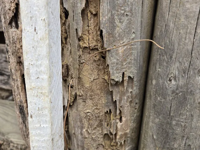 Proven Pest Solutions Picture 3