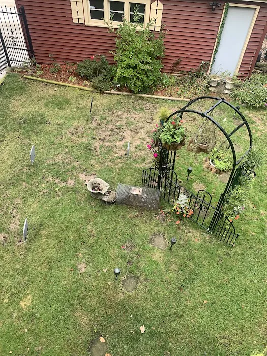 Smithereen Pest Management Services Picture 8