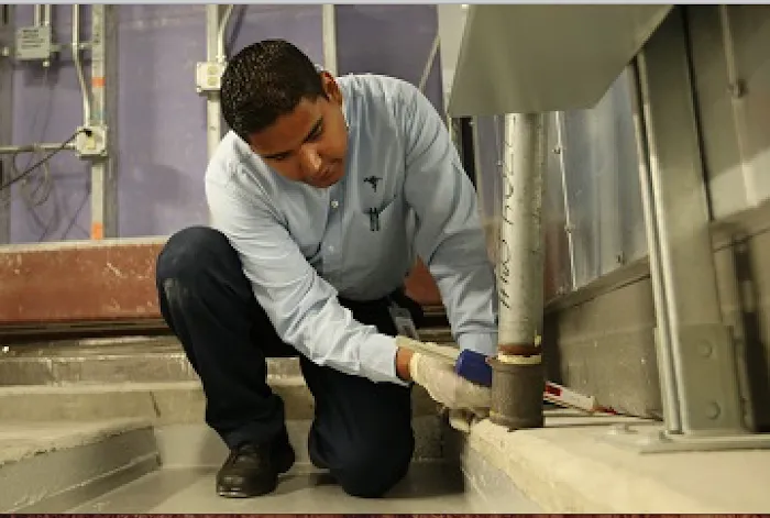 Smithereen Pest Management Services Picture 10