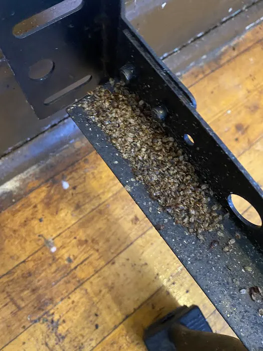 VENPRO PEST SOLUTIONS Picture 7
