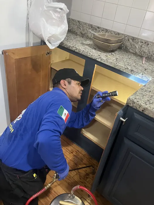 VENPRO PEST SOLUTIONS Picture 3