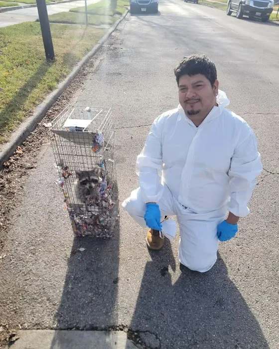 THE PEST CONTROL COMPANY Picture 1