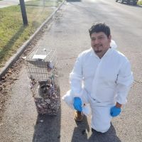 THE PEST CONTROL COMPANY ico