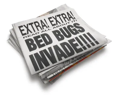 Bed Bug Exterminator Chicago Picture 1