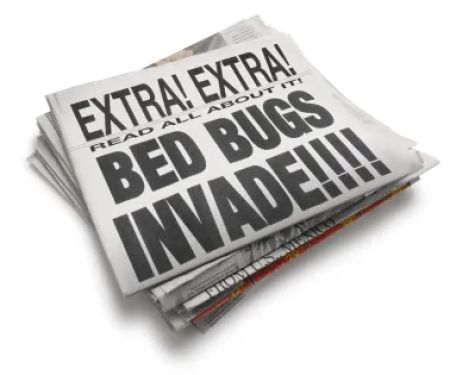 Bed Bug Exterminator Chicago