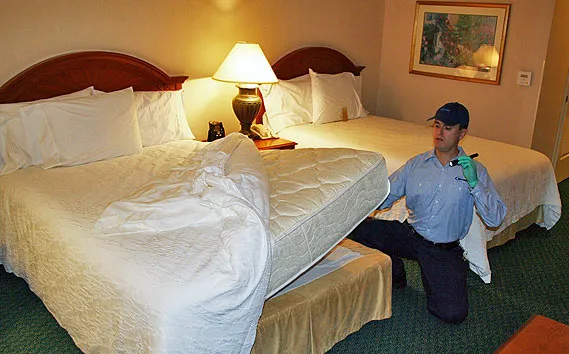 A1 Bed Bug Exterminator Picture 4