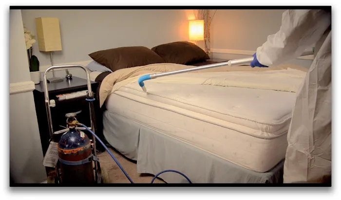 A1 Bed Bug Exterminator Picture 6
