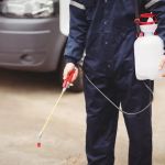 EZ Bed Bug Exterminator