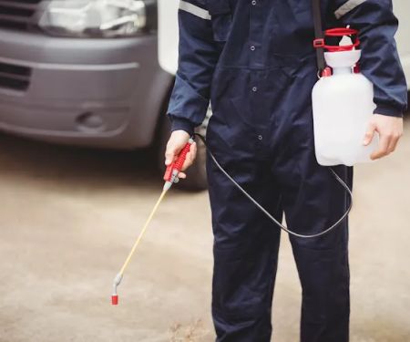 EZ Bed Bug Exterminator