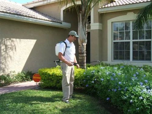 Pest Control Chicago Picture 1