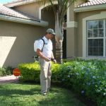 Pest Control Chicago