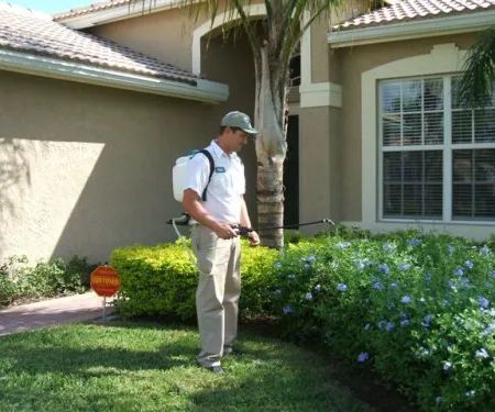 Pest Control Chicago