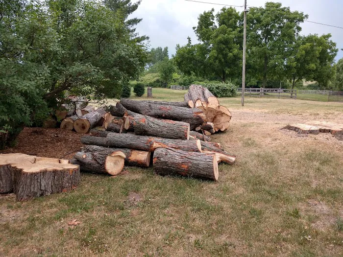 Parshall Tree Care Experts Picture 1