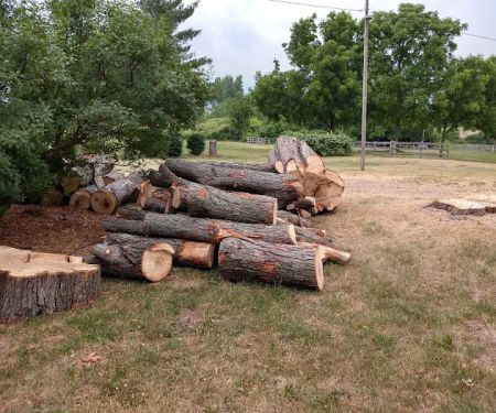 Parshall Tree Care Experts