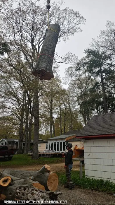 Parshall Tree Care Experts Picture 3