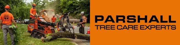 Parshall Tree Care Experts Picture 6
