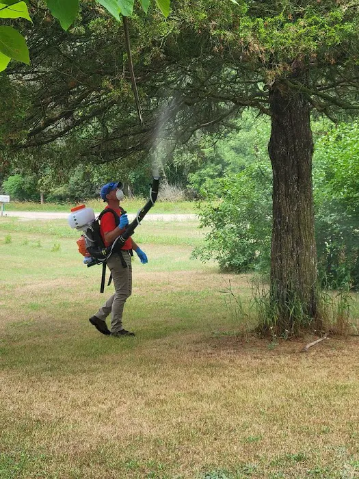 Got'em Wasp & Hornet Removal Picture 5