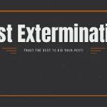 Best Exterminating