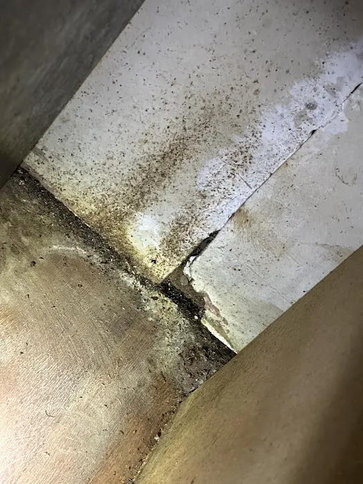 Maples Pest Control Picture 9