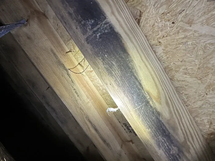Maples Pest Control Picture 2