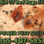 Power Pest Solutions LLC