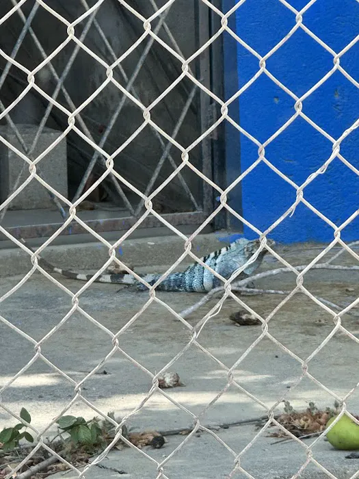 Nuclear Pest Control Picture 2