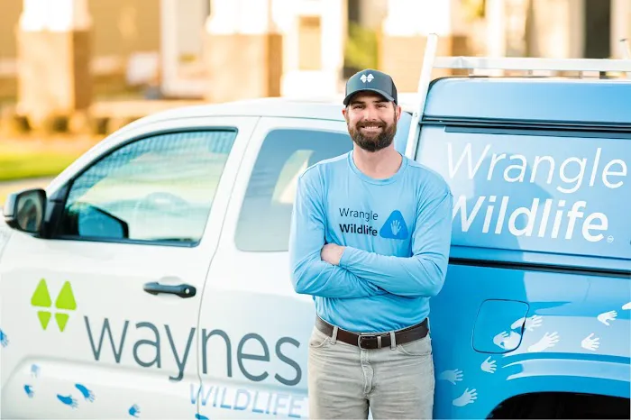 Waynes Pest Control Picture 5