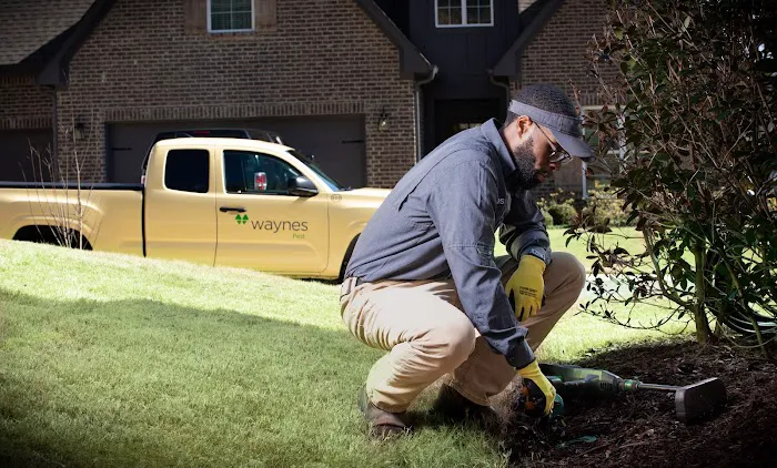 Waynes Pest Control Picture 1