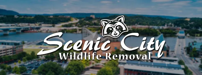 Scenic City Wildlife Picture 2