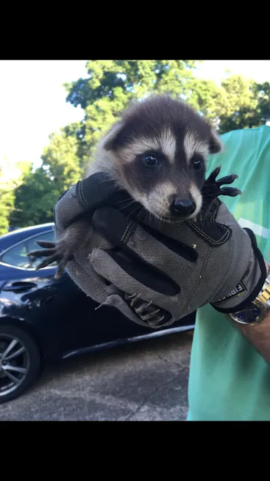 Scenic City Wildlife Picture 6