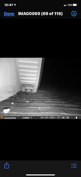 Scenic City Wildlife Picture 10