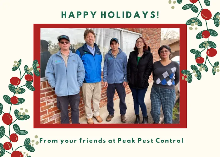 Peak Pest Control Picture 2
