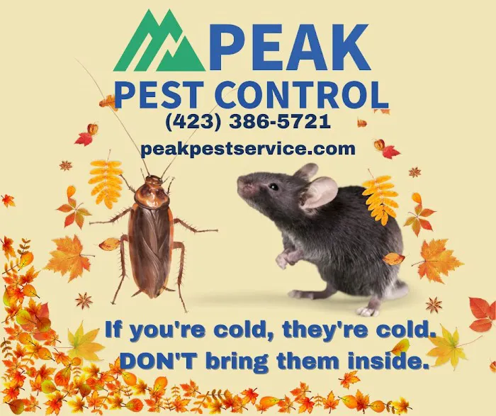 Peak Pest Control Picture 4