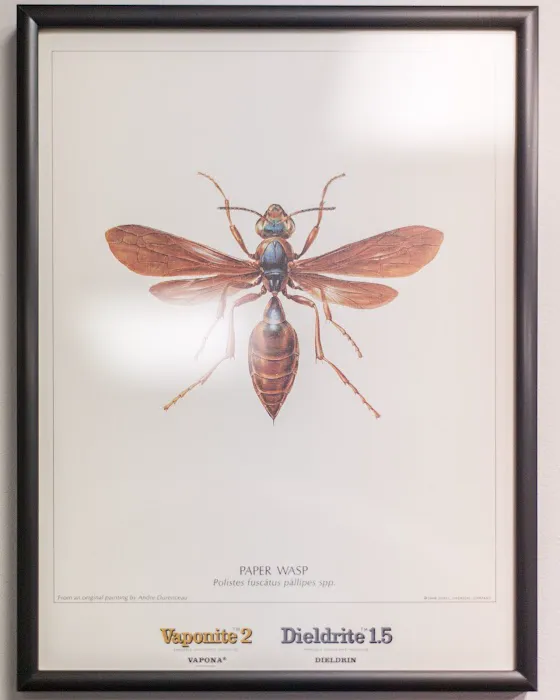 Massey Services Pest Control Picture 7