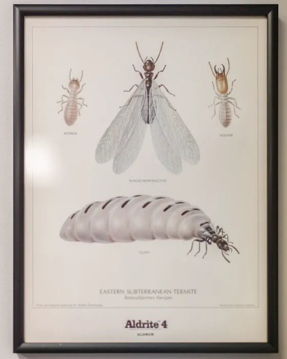 Massey Services Pest Control Picture 3