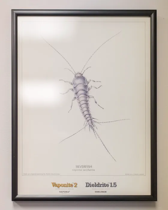 Massey Services Pest Control Picture 10