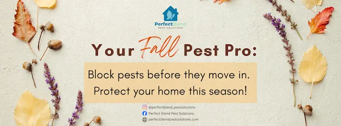 Perfect Blend Pest Solutions Picture 4