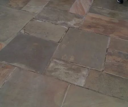 Plateau Pest Control