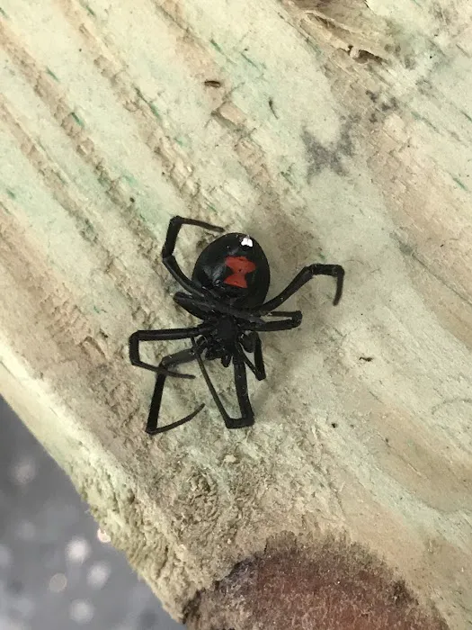 Signal Pest Control Picture 8
