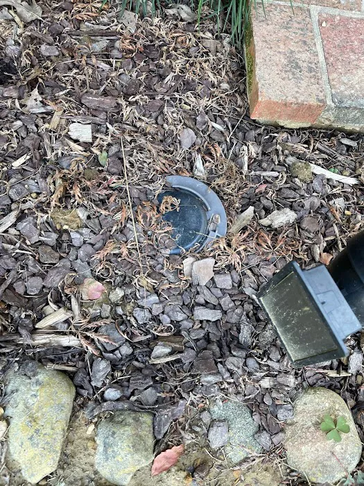 Signal Pest Control Picture 4